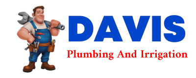 Trusted plumber in YOUNG AMERICA